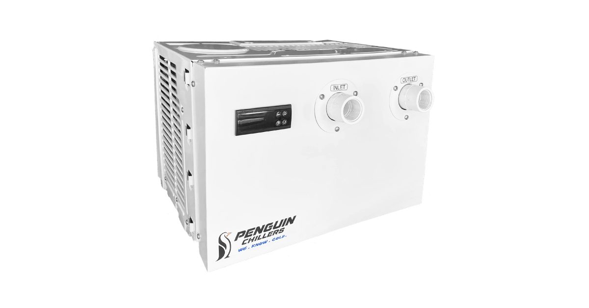 Penguin on half water chiller on white background.